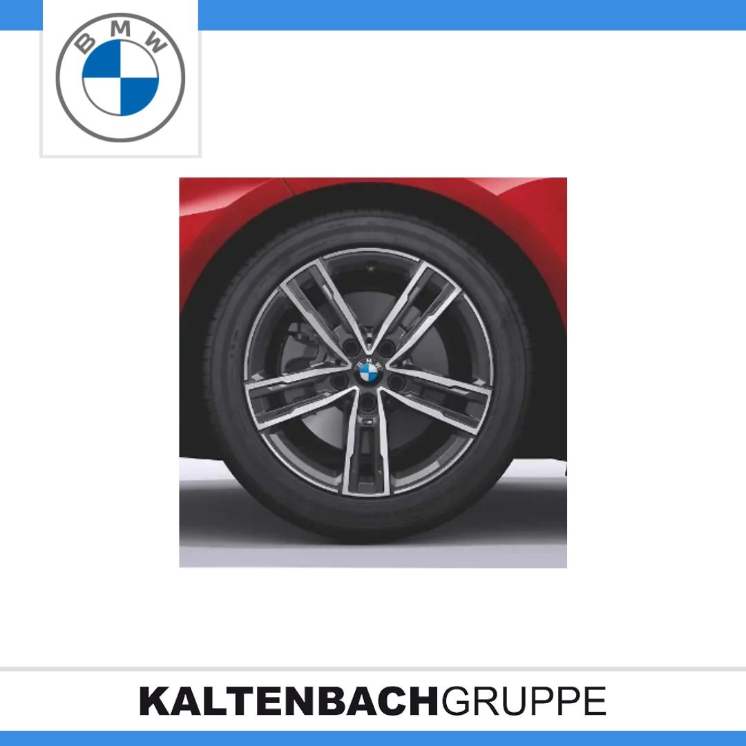 M Doppelspeiche 550M.jpg